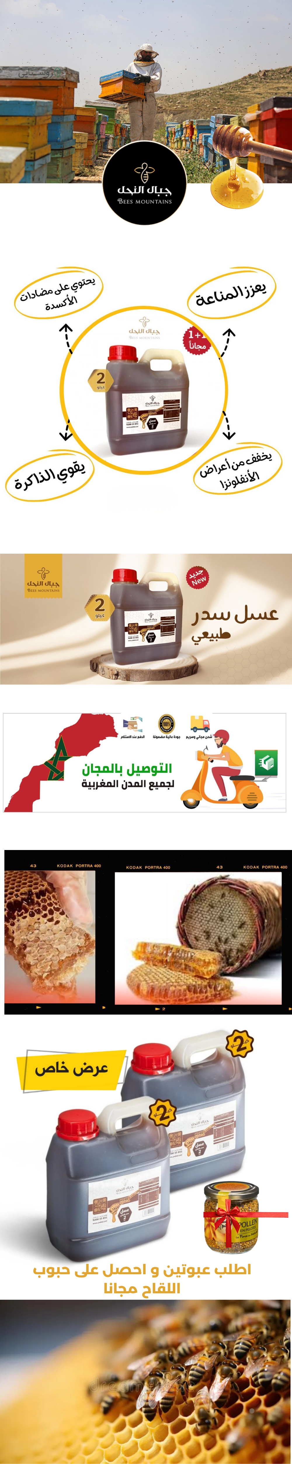 ما هو عسل السدر وفوائده الصحية؟.png
