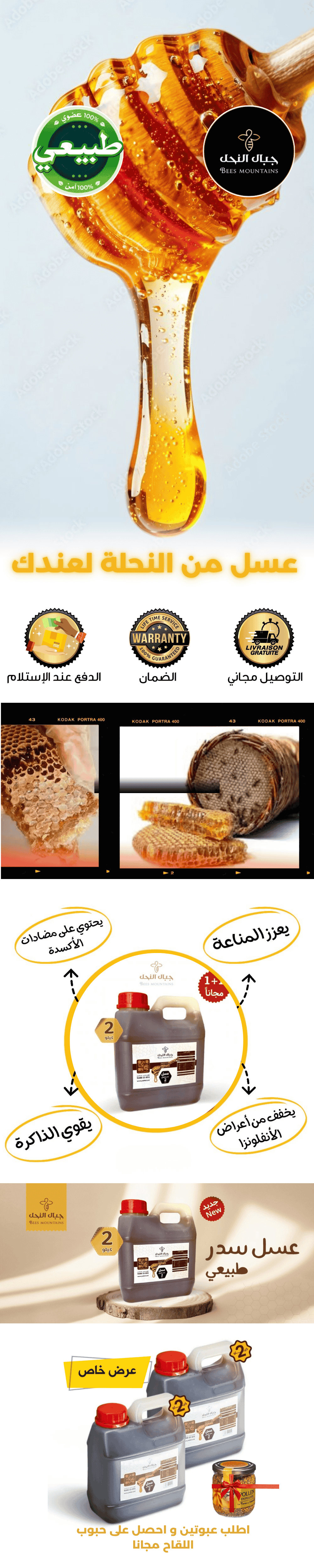 ما هو عسل السدر وفوائده الصحية؟ (1) (1).png